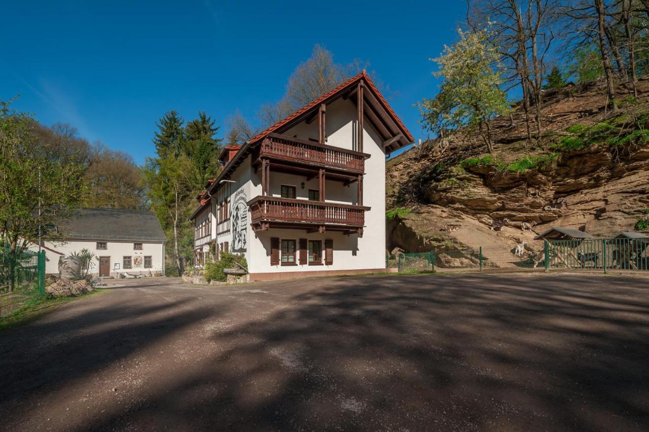 Zur Margarethenmuehle - Landgasthof Und Waldhotel Rosswein Esterno foto