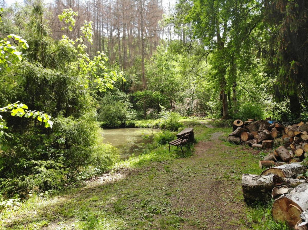 Zur Margarethenmuehle - Landgasthof Und Waldhotel Rosswein Esterno foto