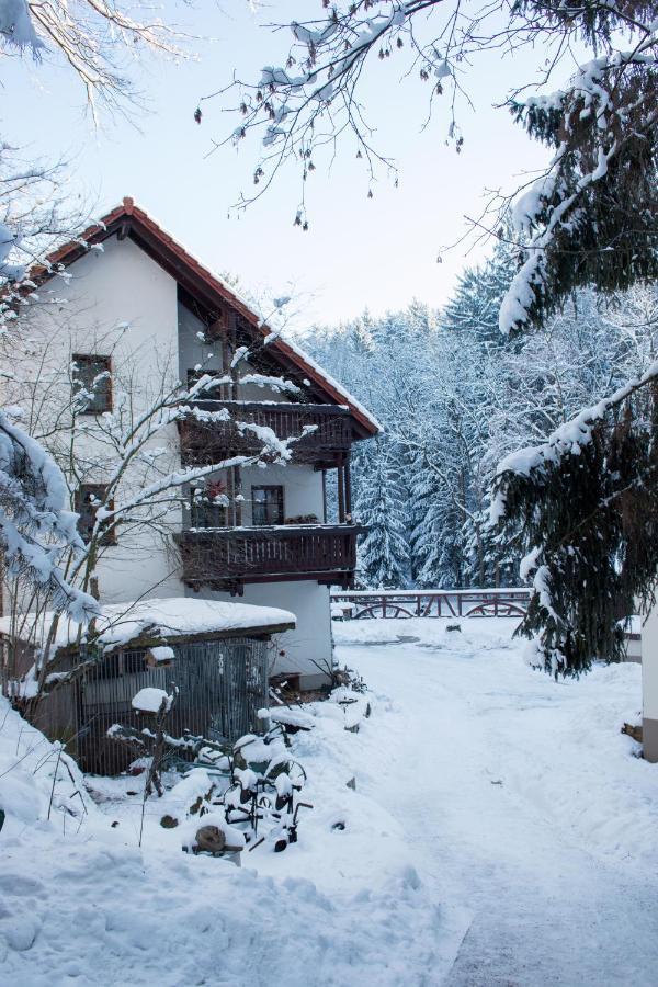 Zur Margarethenmuehle - Landgasthof Und Waldhotel Rosswein Esterno foto