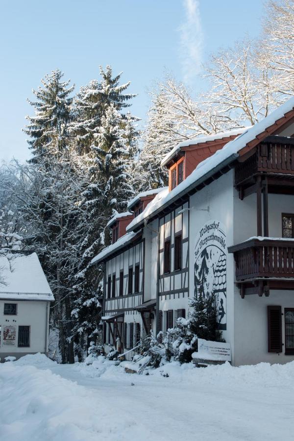 Zur Margarethenmuehle - Landgasthof Und Waldhotel Rosswein Esterno foto